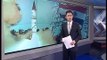 Chinese Expert on  Indian  Agni 5 Missile launch CCTV News - CNTV English.mp4
