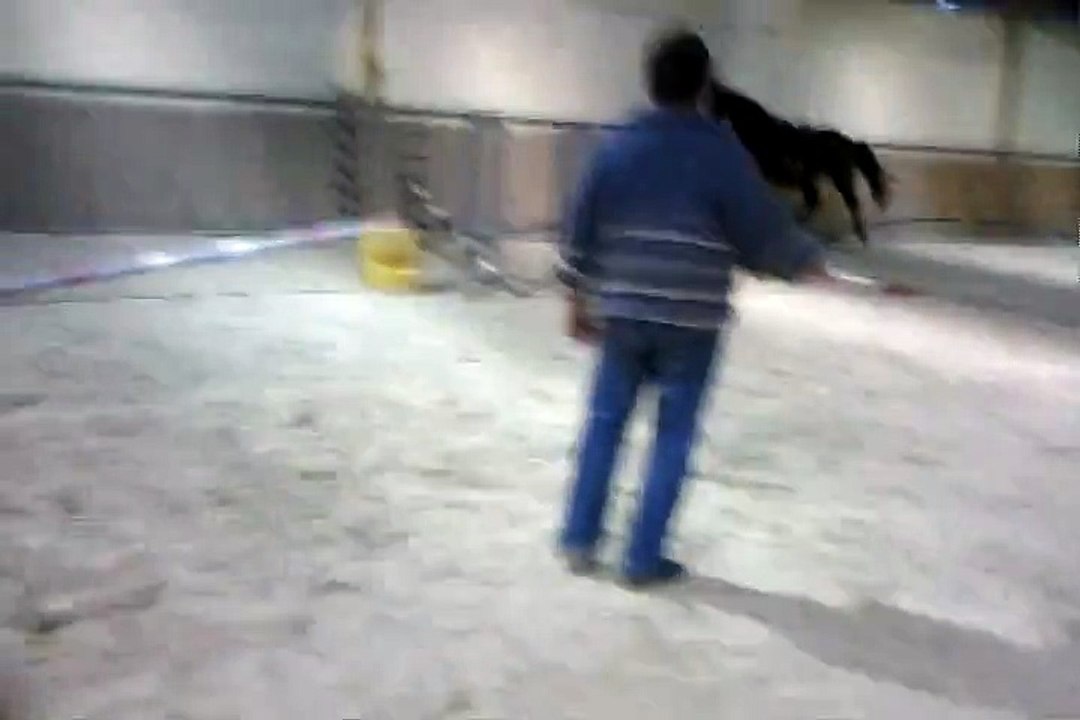 Eros2