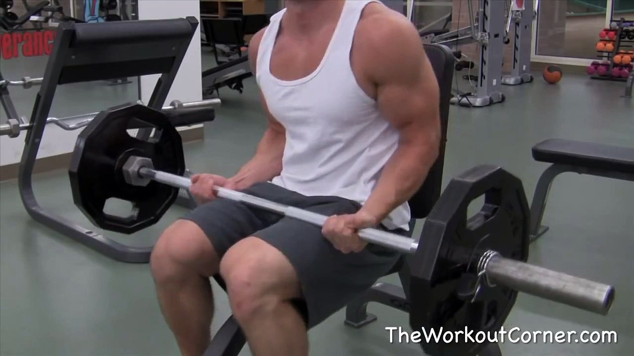 Biceps Workout - 3 Bicep Exercises for Mass