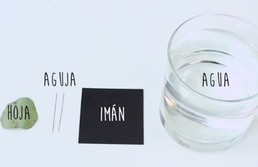 ¿Norte o sur? Crea una brújula de emergencia en tres simples pasos