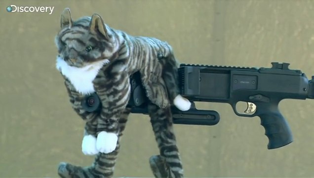 Fusil d'assaut planqué dans un chat en peluche pour tromper l'ennemi