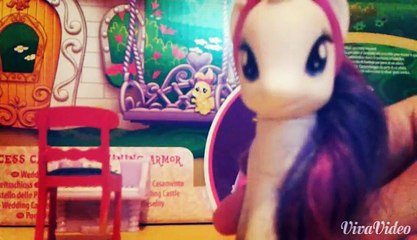 video van mijn kanaal!