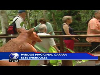 Sendero Universal cumple dos años en Carara