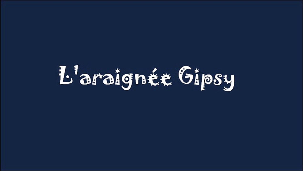 L'araignée Gipsy