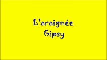 L'araignée Gipsy