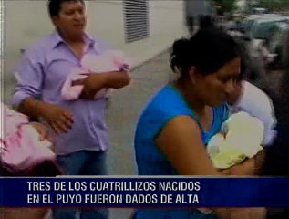 Tres de los cuatrillizos nacidos en El puyo fueron dados de alta