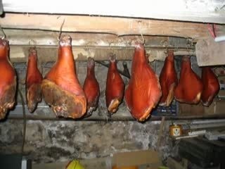 Nik la zik de france par le lac cournon