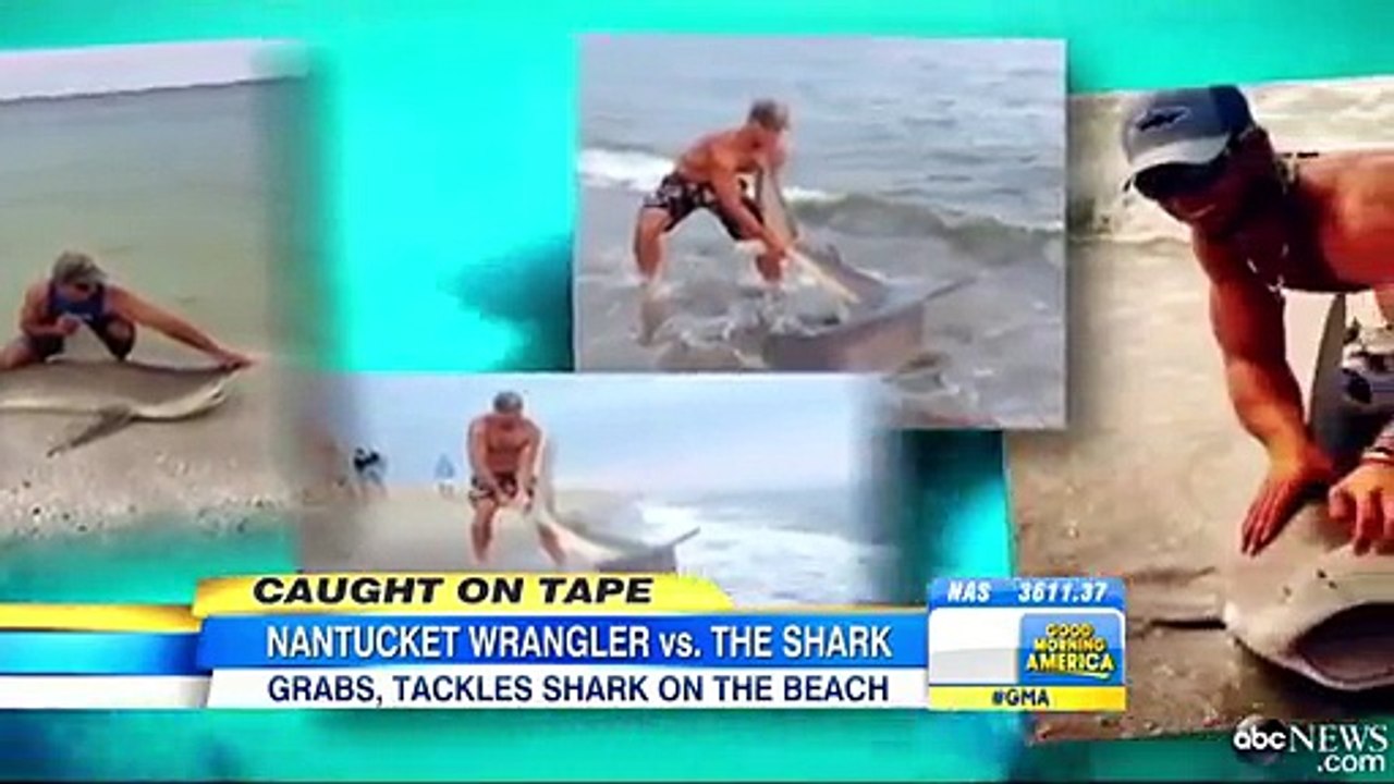 Man Shows power. Wrestles Shark With Bare Hands