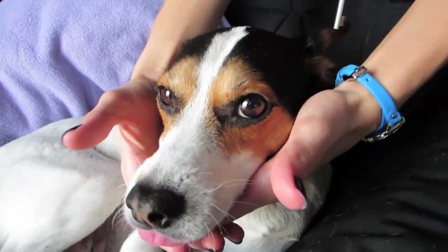 WORST CAR THIEF EVER! (1.21.14 - Day 1727)