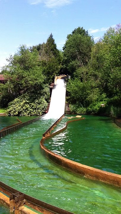 Parc Astérix 2014 - Voyage de fin de saison - 2