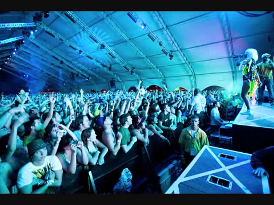 MIA- Bucky Done Gun w lyrics