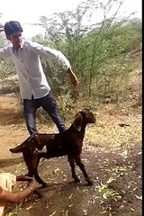 tobha allha maf kary