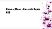 Harvest Moon - Nintendo Super NES
