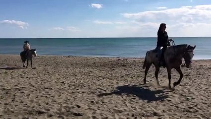 BARBARADURSO.COM - Che meraviglia i cavalli in riva al mare…