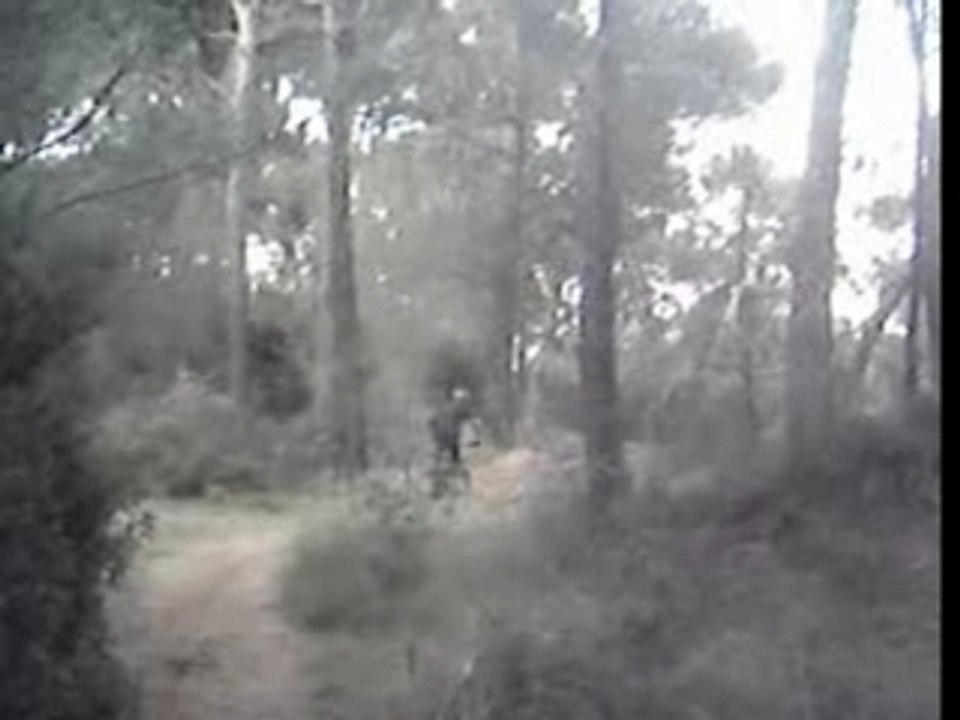IMAG0019