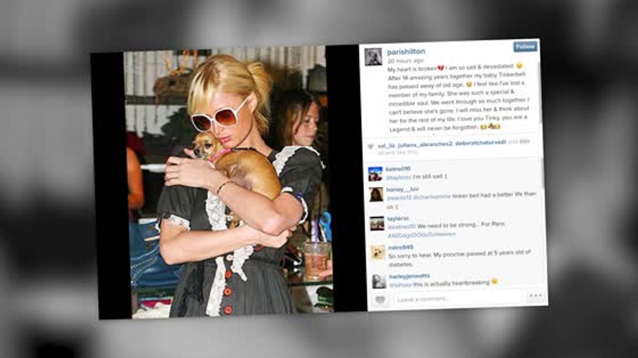 Paris Hilton Remembers Her Dog Tinkerbell