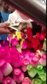 Miracle At 6 Train! Guy Buys All The Flowers And Offers Them To Everybody