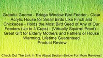 Grateful Gnome - Bridge Window Bird Feeder - Clear Acrylic House for Small Birds Like Finch and Chickadee - Holds the Most Bird Seed of Any of Our Feeders (Up to 4 Cups) - (Virtually Squirrel Proof) - Great Gift for Elderly Mothers and Fathers or House Wa