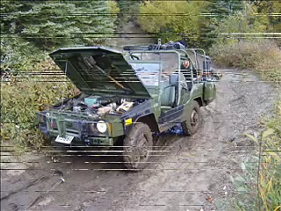 Canadian Iltis