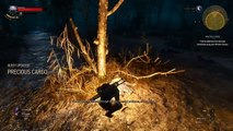 The Witcher 3 : Wild Hunt - Une quête sur Xbox One (Precious Cargo)