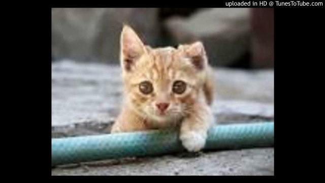 ルパン三世 愛のテーマ/Lupin The Third/ピアノ 高橋丈太郎