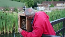 Release goes wrong, owl nearly drowns