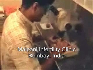 Egg retrieval in the IVF laboratory