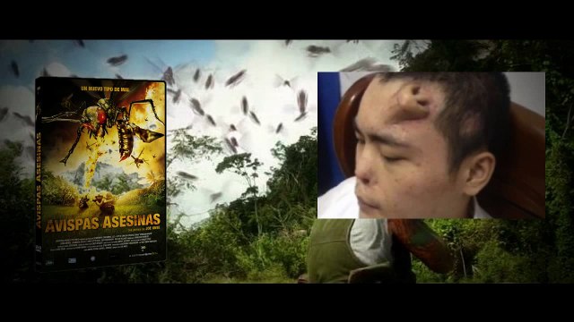 PLAGAS DE RATAS GIGANTES Y AVISPAS ASESINAS [TERROR EN FRANCIA] 2014