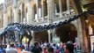 Natural History Museum London ***MUST SEE***