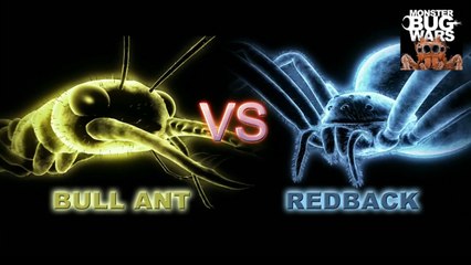 MONSTER BUG WARS | Bull Ant Vs Redback Spider