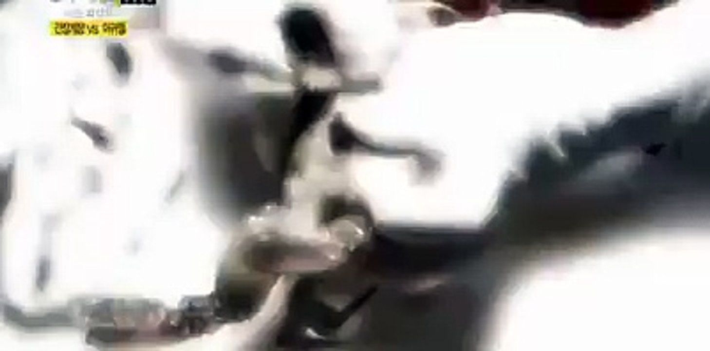 Incridible