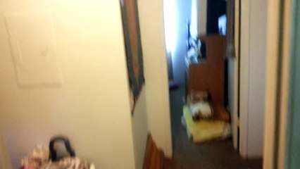 First Alert Smoke Detector Test