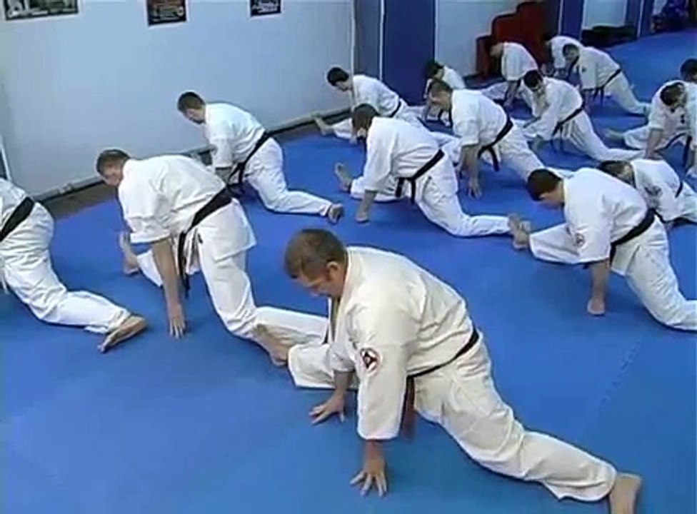 Уроки каратэ киокушинкай (видео). Часть 2