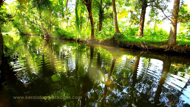 Kerala Tourism Video - The Travel Planners