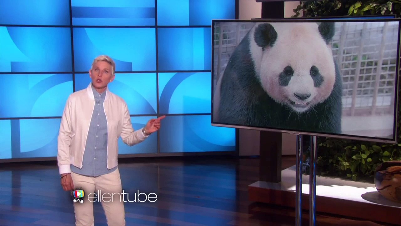 The Birds the Bees and Ellen Show HD | TheEllenShow