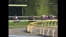 佐藤智大　競馬名勝負３本ウォッカ、ブライアン、トップガン