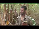 Sri Lankan army closes in on Tamil Tigers - 1 Feb 09
