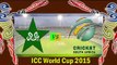WATCH Pakistan Vs South Africa Cricket Match Highlights ICC World Cup 2015 07-03-2015
