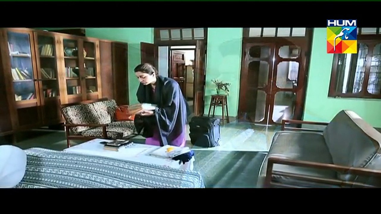 Mehram Episode 25 (Last Episode)  HUM TV By Super Janlewa