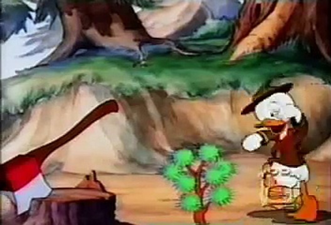 Donald Duck - Good Scout