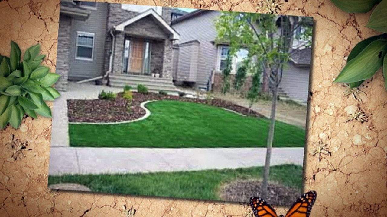 natural grass