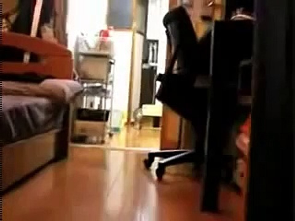 Kill Bill Ninja cat comes closer while not moving!