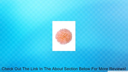 Zacoo Paper Pom Pom Flower Ball HG0042 Review