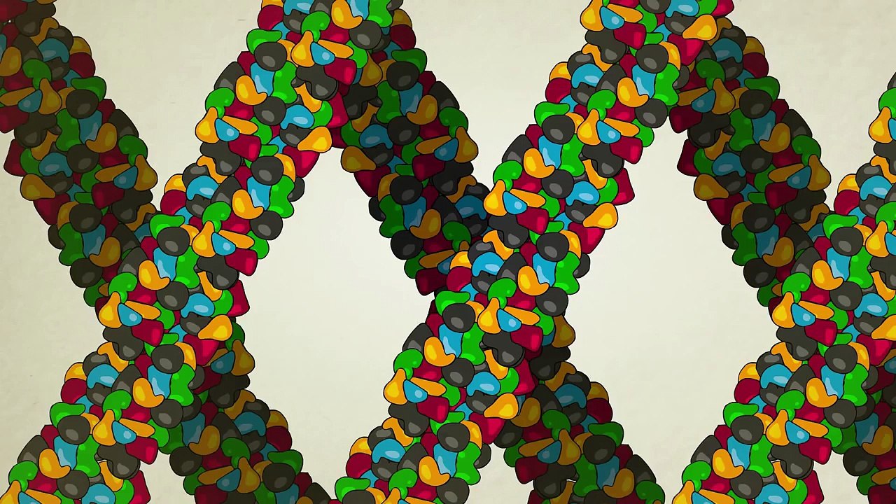 What is a gene?