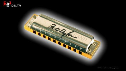 Dylan Night - Like A Rolling Stone (C) (WITH Guitar)