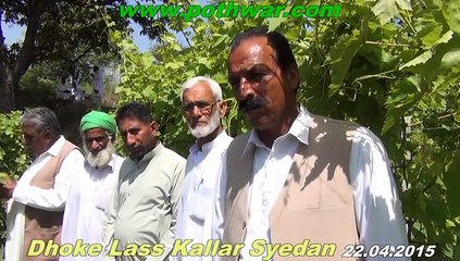 Dhoke Lass Grapes and wheat