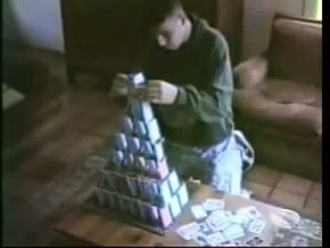 Video Divertenti Animali - Gatti pazzi