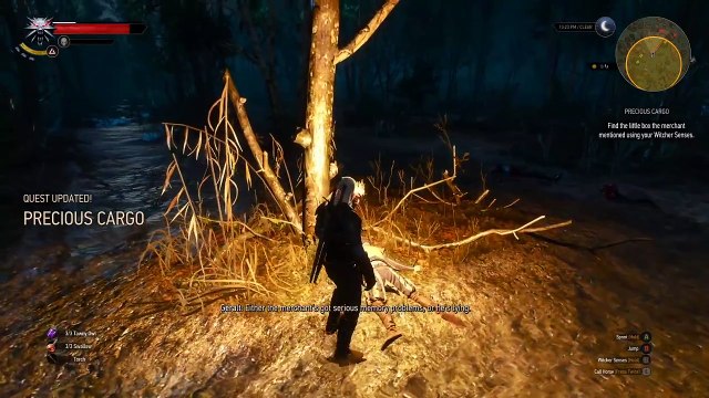 The Witcher 3 Wild Hunt - “Precious Cargo” quest