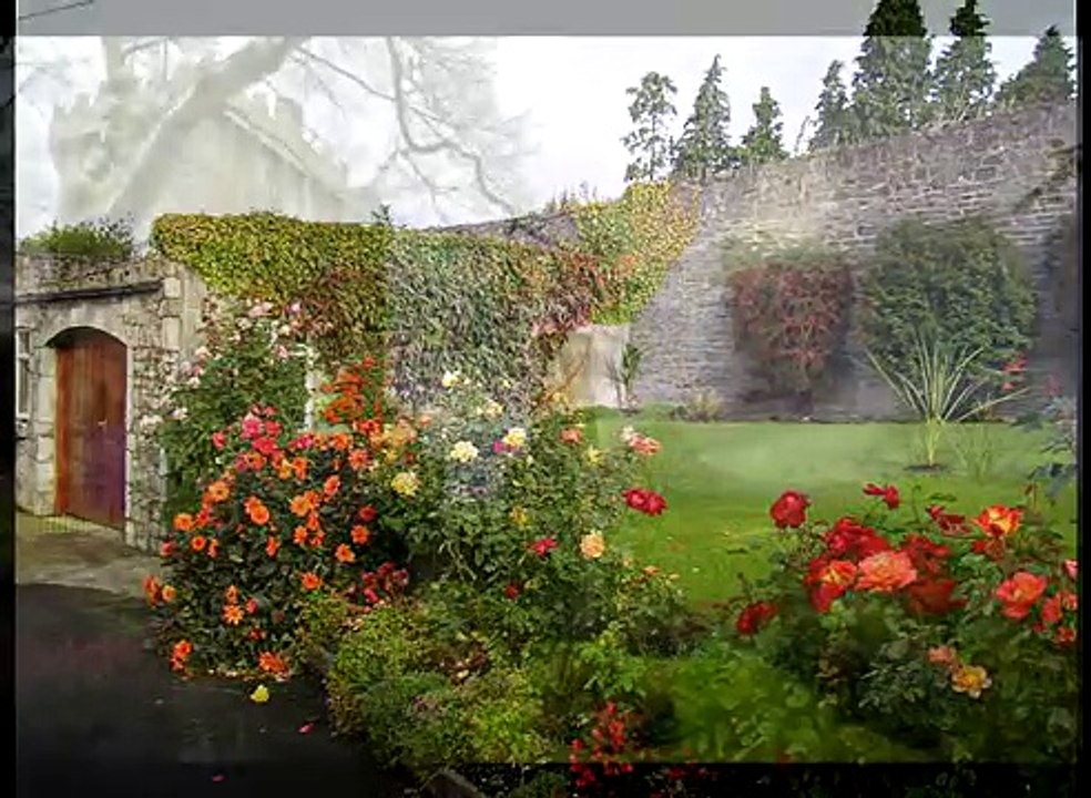 Down By The Sally Gardens Irish songs Celtic music Ireland folk traditional Ireland