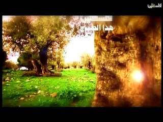 فلسطين هذا الصباح الخميس ج1